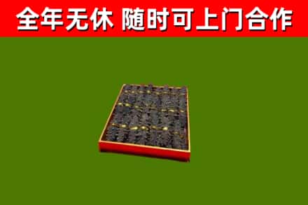 广东省烟酒回收海参.jpg